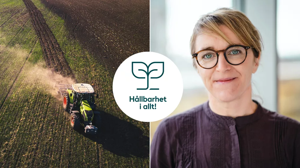 Helena Allard, hållbarhetsinnovatör Axfood